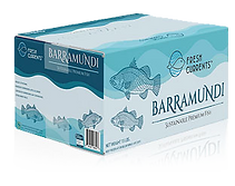 barramundi
